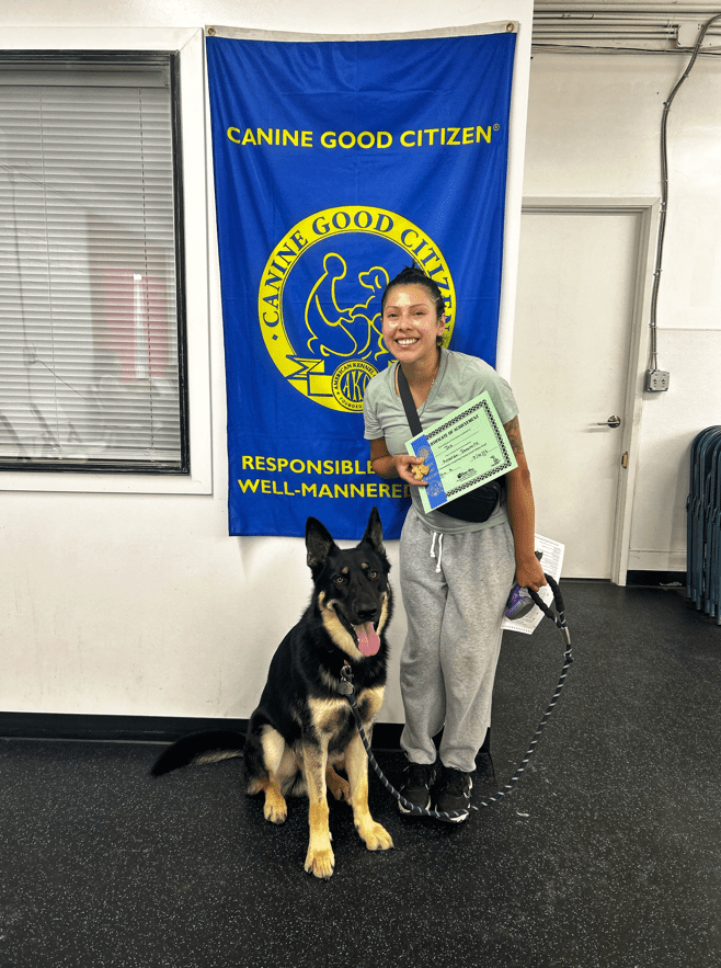 A handler holding her Canine Good Citizen certificate beside her German Shepherd in front of the CGC banner