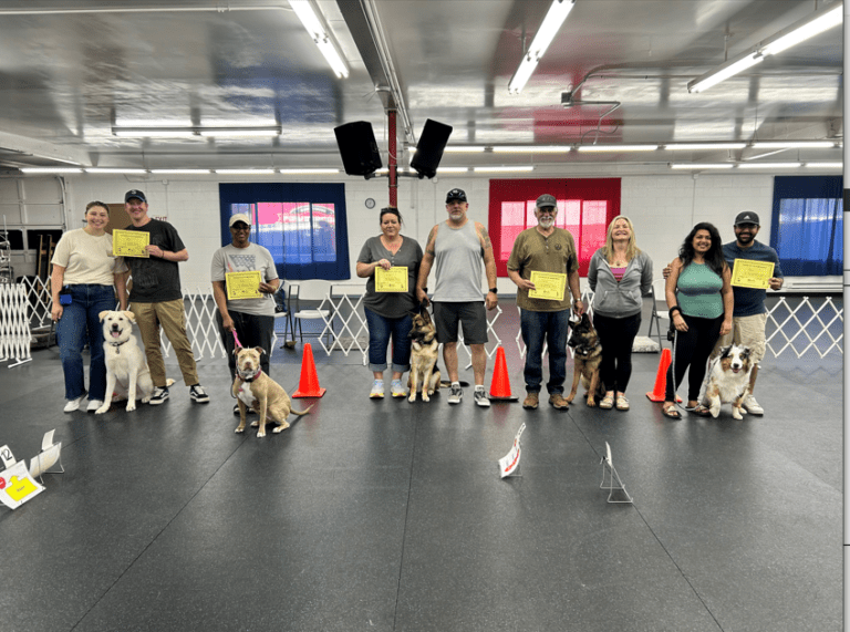 Class graduates holding certificates beside their dogs on the training floor
