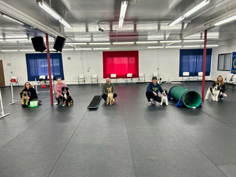 Students crouching beside their puppies on the training floor, with a tunnel and low balance board