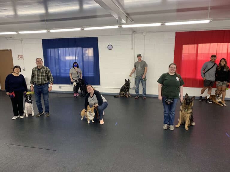 Students standing with their dogs spread out across the training floor in an Advanced Home Obedience class